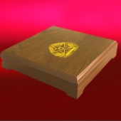 2013年12月：定制空軍航空兵42師戰友聚會榮譽獎章