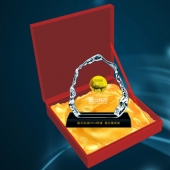 2015年1月；打造中科院下設企業國云科技魯班獎純金獎牌定制