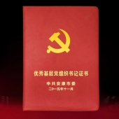 2015年10月訂做　安康市委優(yōu)秀共產(chǎn)黨員榮譽(yù)證書(shū)及獎(jiǎng)狀制作