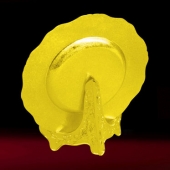 2016年6月定制　安康市漢濱區(qū)優(yōu)秀黨務工作者獎牌錫盤擺件